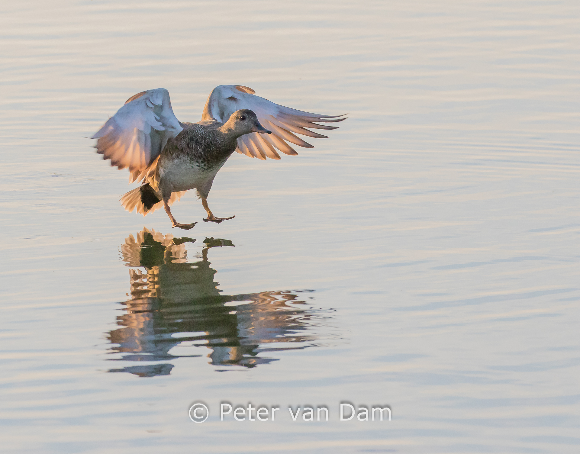 The Decisive Moment