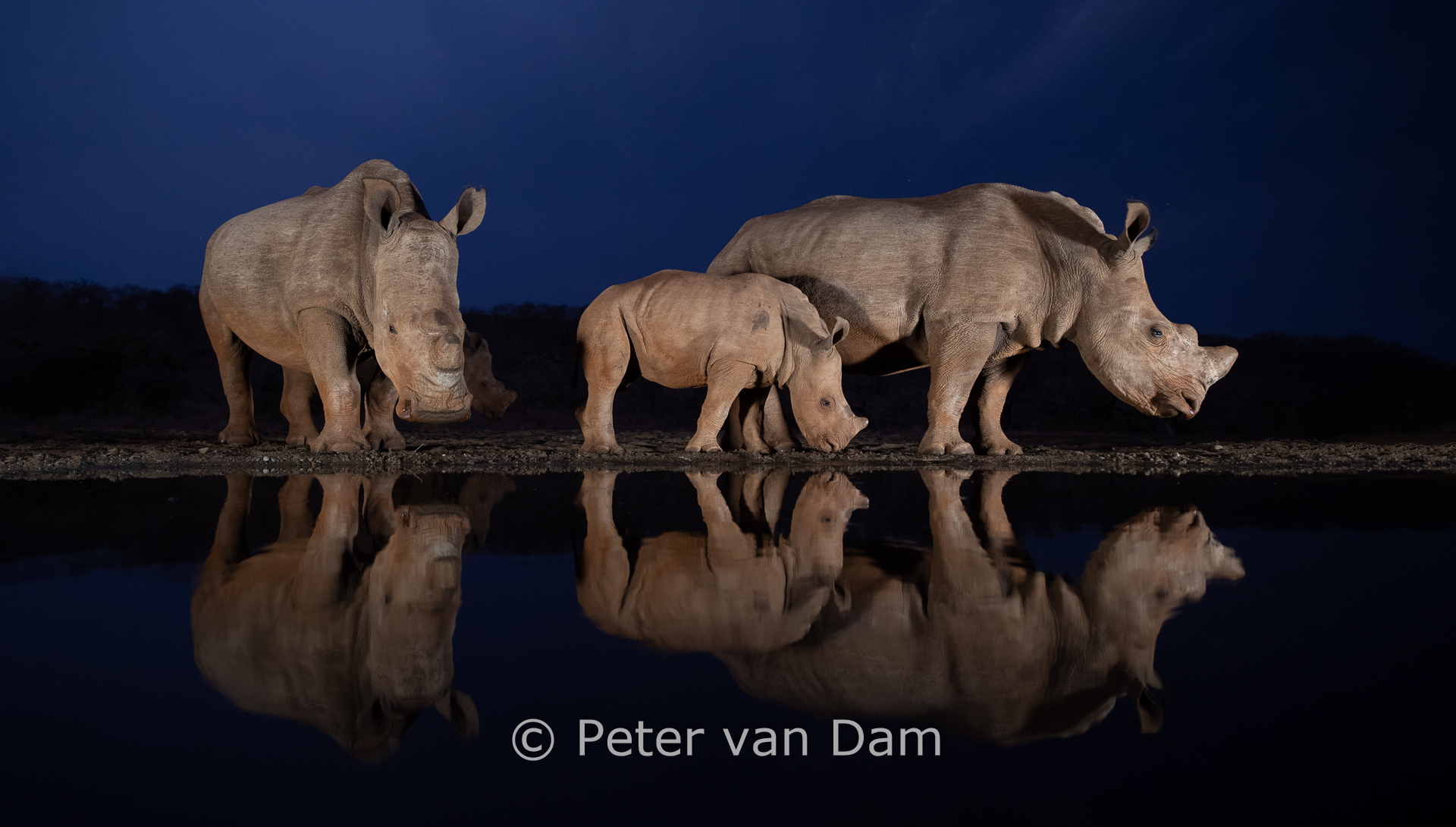 Blue hour