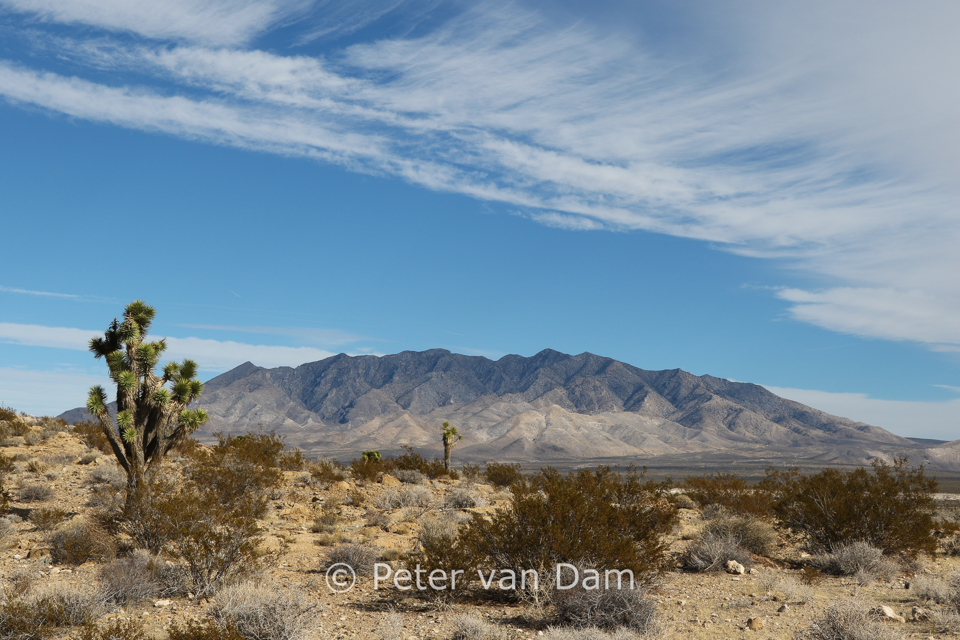 Death Valley