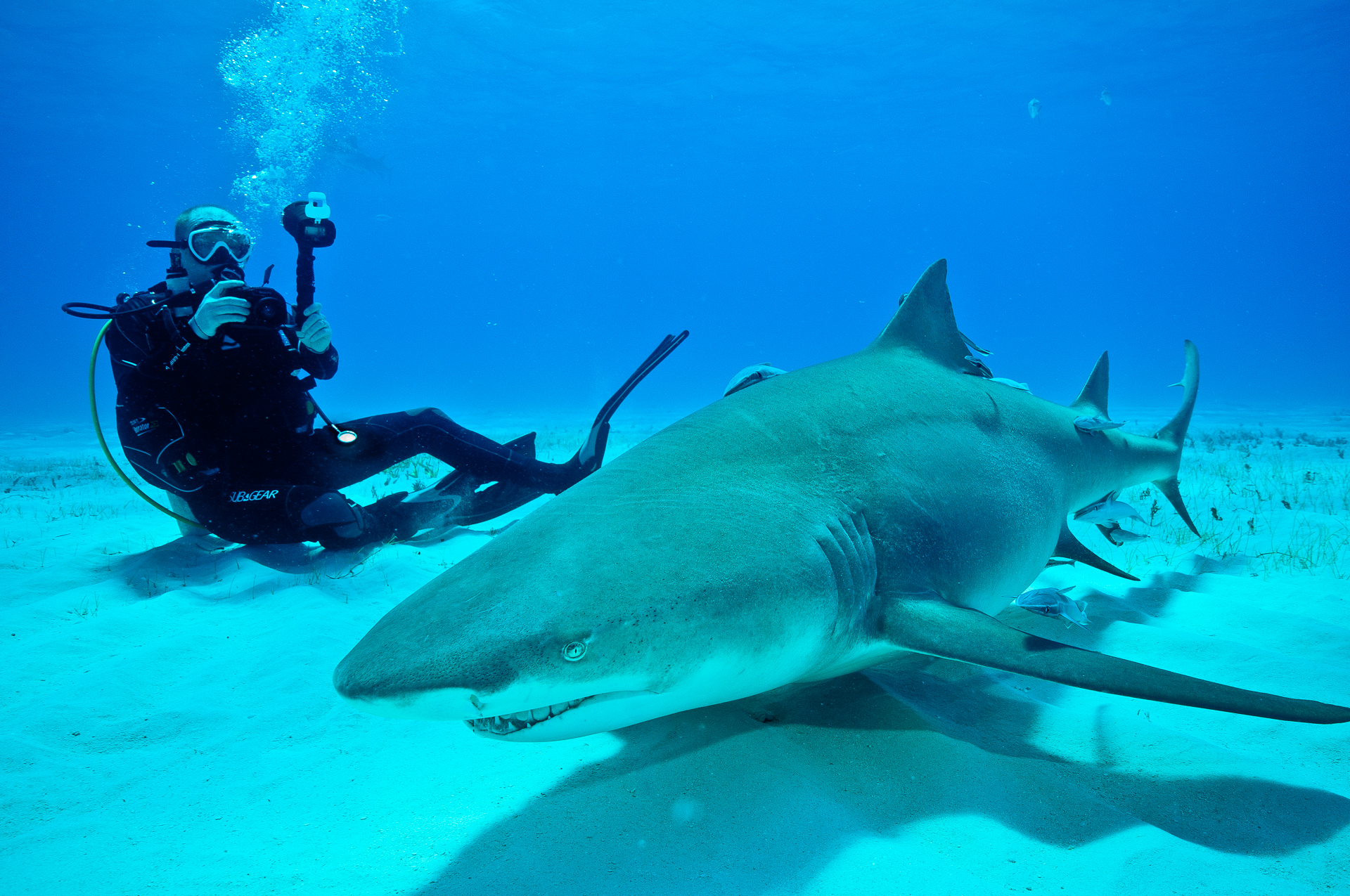 Close encounter