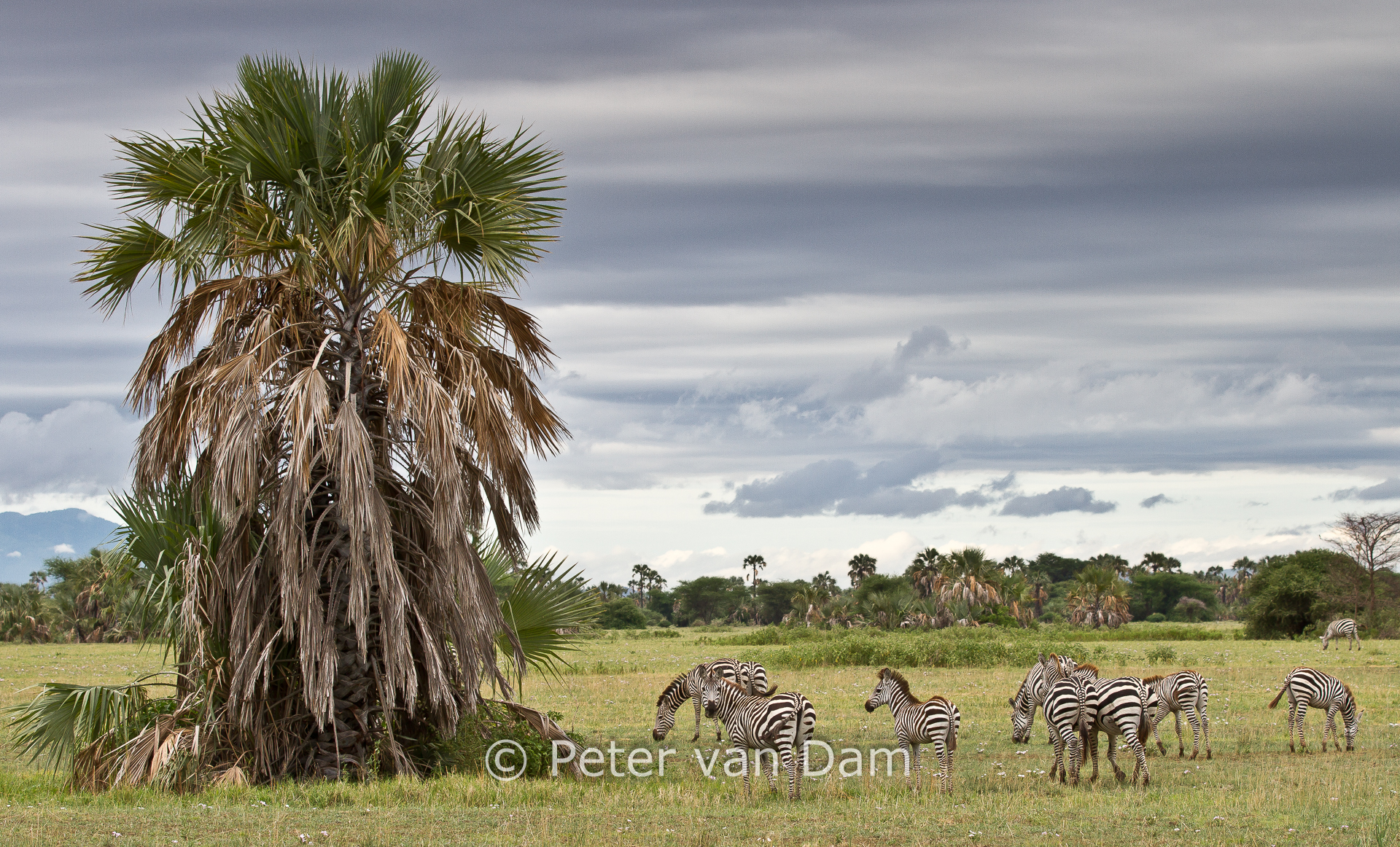 Lake Manyara