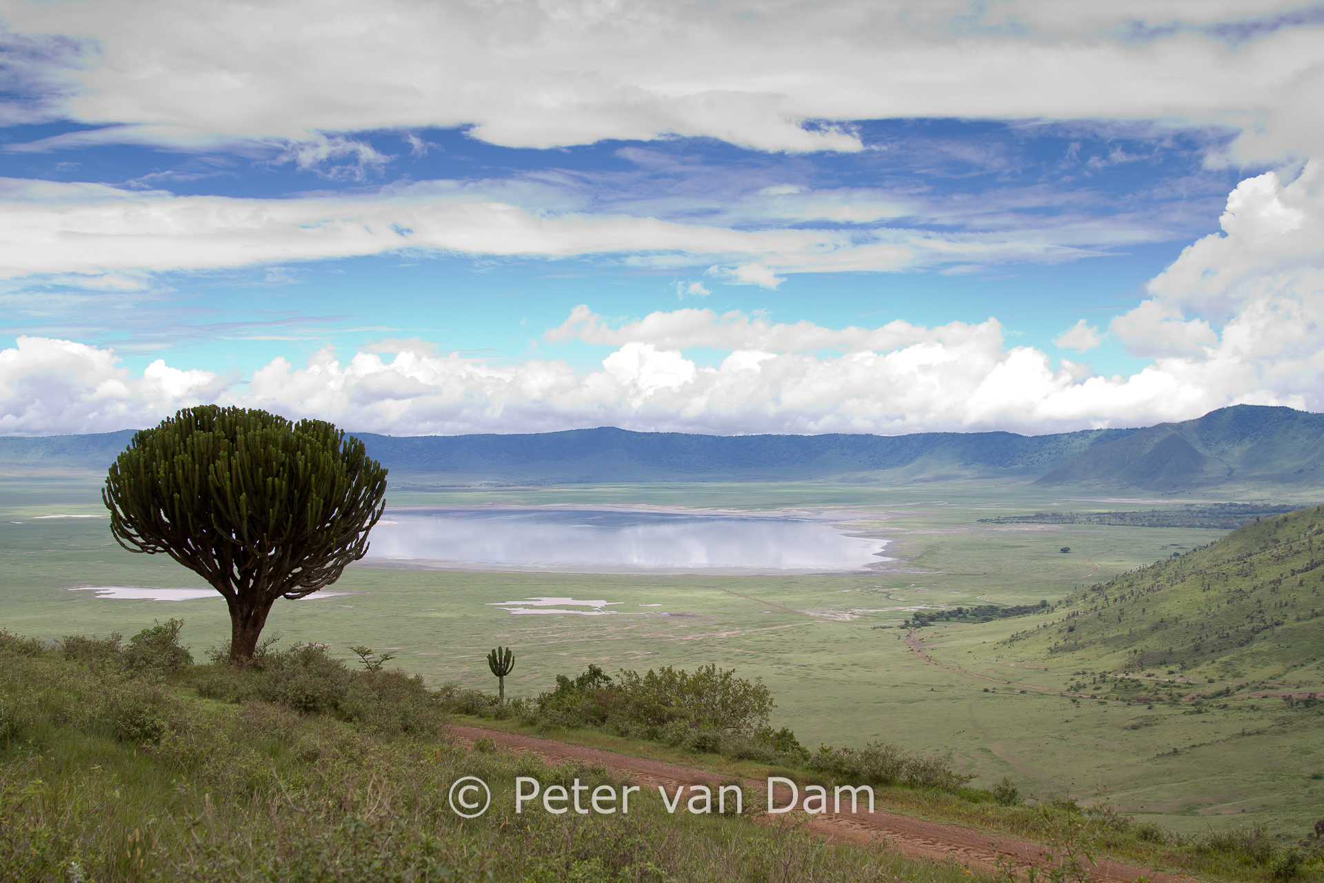 Ngorongoro crater